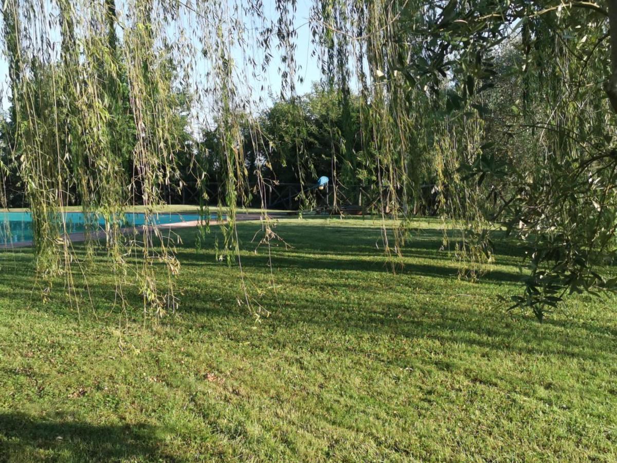 Residenza Il Platano Fortilizio Di Campiglia Раполано Терме Екстериор снимка
