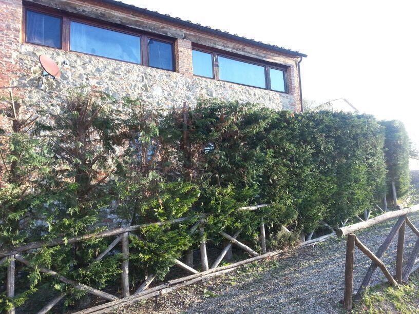 Residenza Il Platano Fortilizio Di Campiglia Раполано Терме Екстериор снимка